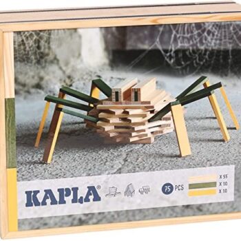 Kapla Spider